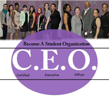 CEO Picture